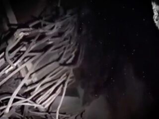 チェルノブイリの“悪魔の心臓”に潜入した男たち！ カメラに映り込んだ放射線ノイズと「ゾウの足」の現在