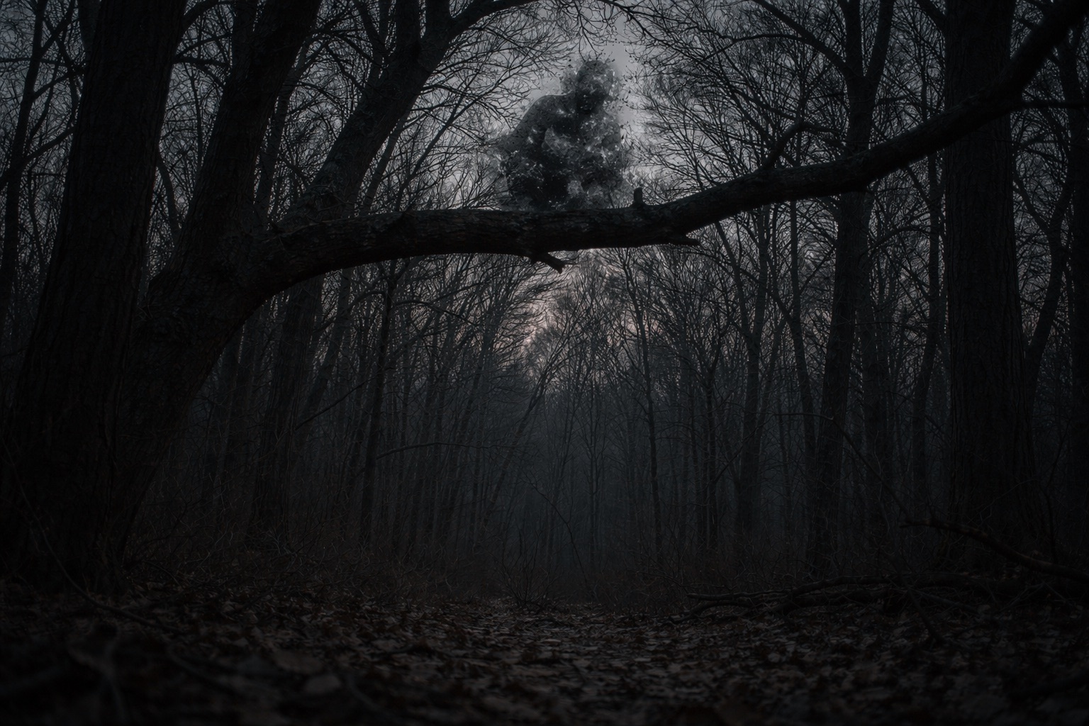 透明な捕食者「グリマーマン」とは？ 光を歪め、闇に潜む“プレデター型”未確認生物の戦慄の画像2