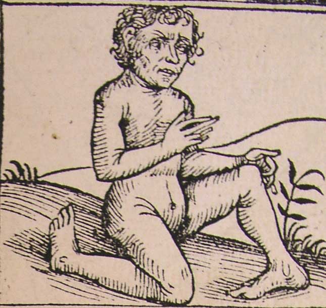 一つ目の戦闘民族、顔が胸にある男、香りだけを食べて生きる人々… 古代の探検家たちが本気で信じていた「10の奇妙な異民族」の画像5