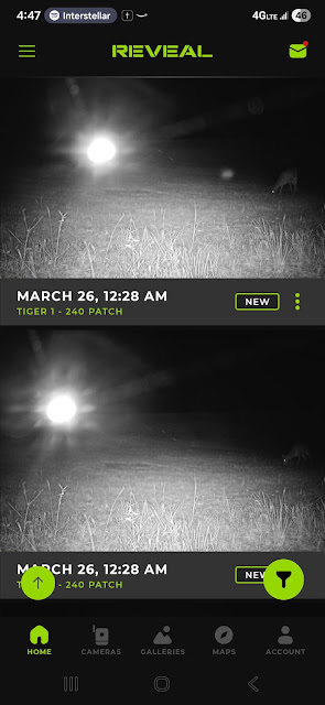 シカの食事を観察する巨大な「卵型UFO」!? アラバマ州の野生動物カメラが捉えた“怪光”の画像2