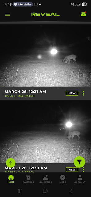 シカの食事を観察する巨大な「卵型UFO」!? アラバマ州の野生動物カメラが捉えた“怪光”の画像3