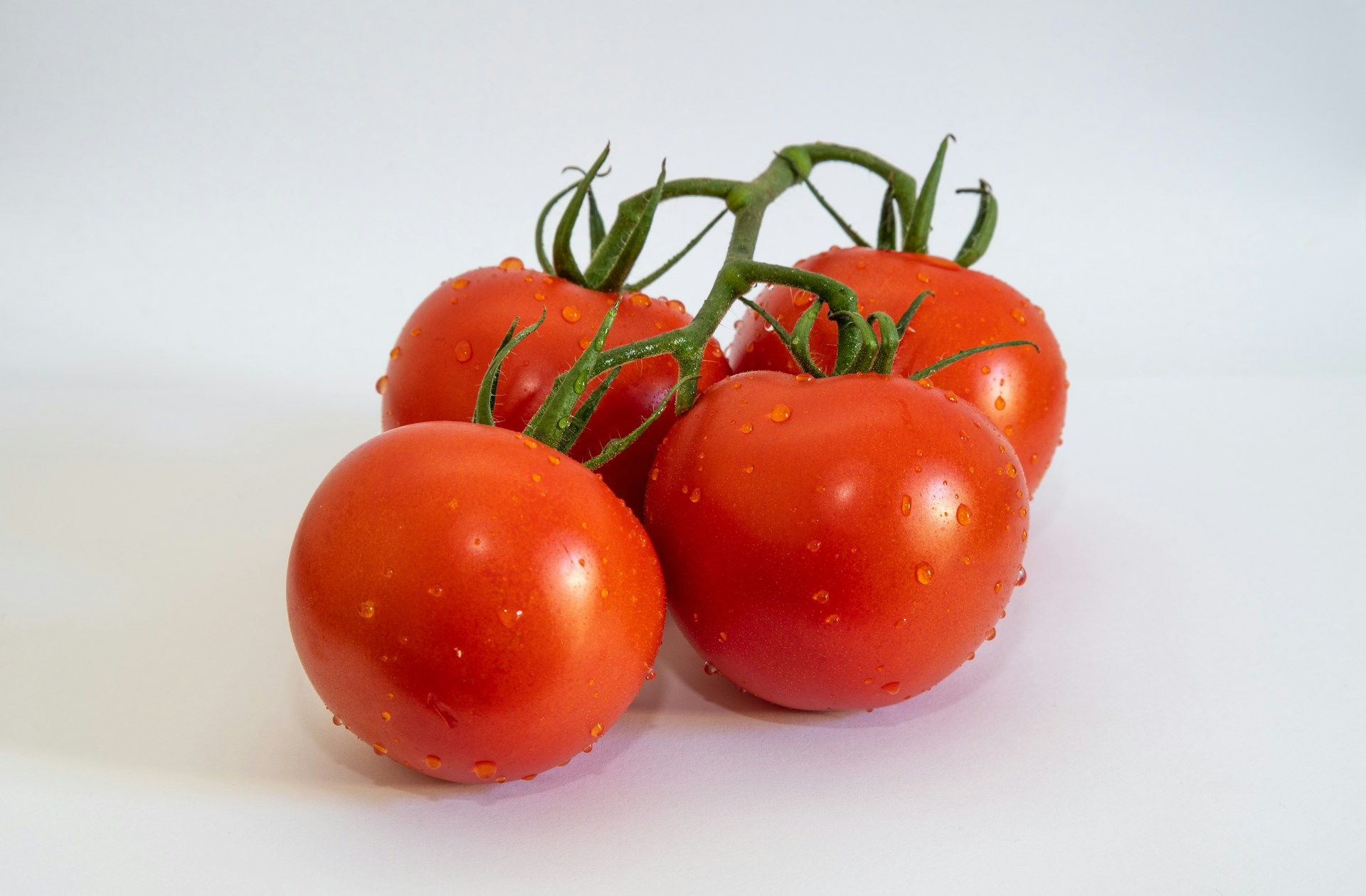 かつて大真面目に信じられていた“ヤバすぎる科学の常識”6選「トマトは毒」「手洗いは不要」!? の画像3