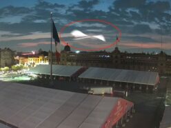 「折り紙のような翼を持つUFO」が出現!? 生きたUFOか、それとも未確認生物“スカイフィッシュ”か＝メキシコ