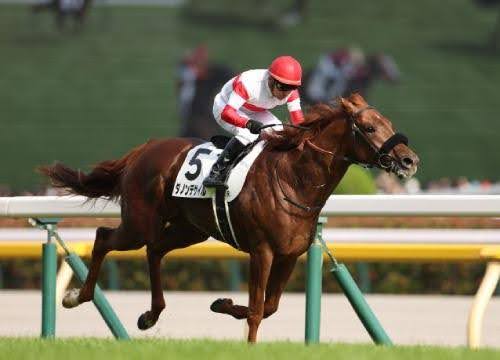 【JRA大阪杯特集】必見のダービー馬対決に割って入る意外な穴馬。万馬券決着濃厚で一攫千金チャンスの買い目無料公開‼の画像2