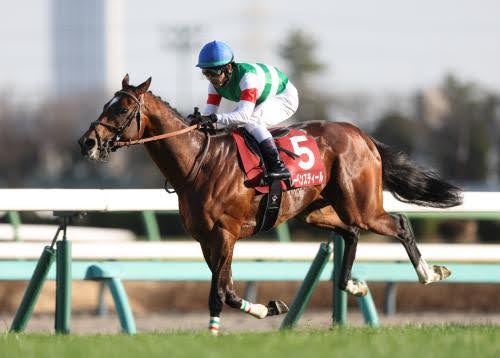 【JRA大阪杯特集】必見のダービー馬対決に割って入る意外な穴馬。万馬券決着濃厚で一攫千金チャンスの買い目無料公開‼の画像3