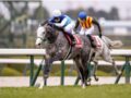 レジェンドジョッキー武豊騎手の史上最多9勝なるか？注目の天皇賞（春）! 今週から“7週連続の一攫千金祭り”、勝者と敗者を分ける要素とは!?