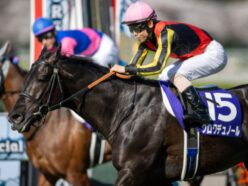 これは現代の三国志か!? ゴールデンウィークを熱狂させる“三強対決”を見逃すな！