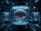 亡くなった人の脳を蘇生させて実験台に!? 米スタートアップ「Bexorg」が行うBrainExシステムの全貌と倫理的課題