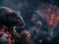 科学者が警告する気候変動が引き起こす齧歯類ウイルスの"大移動"