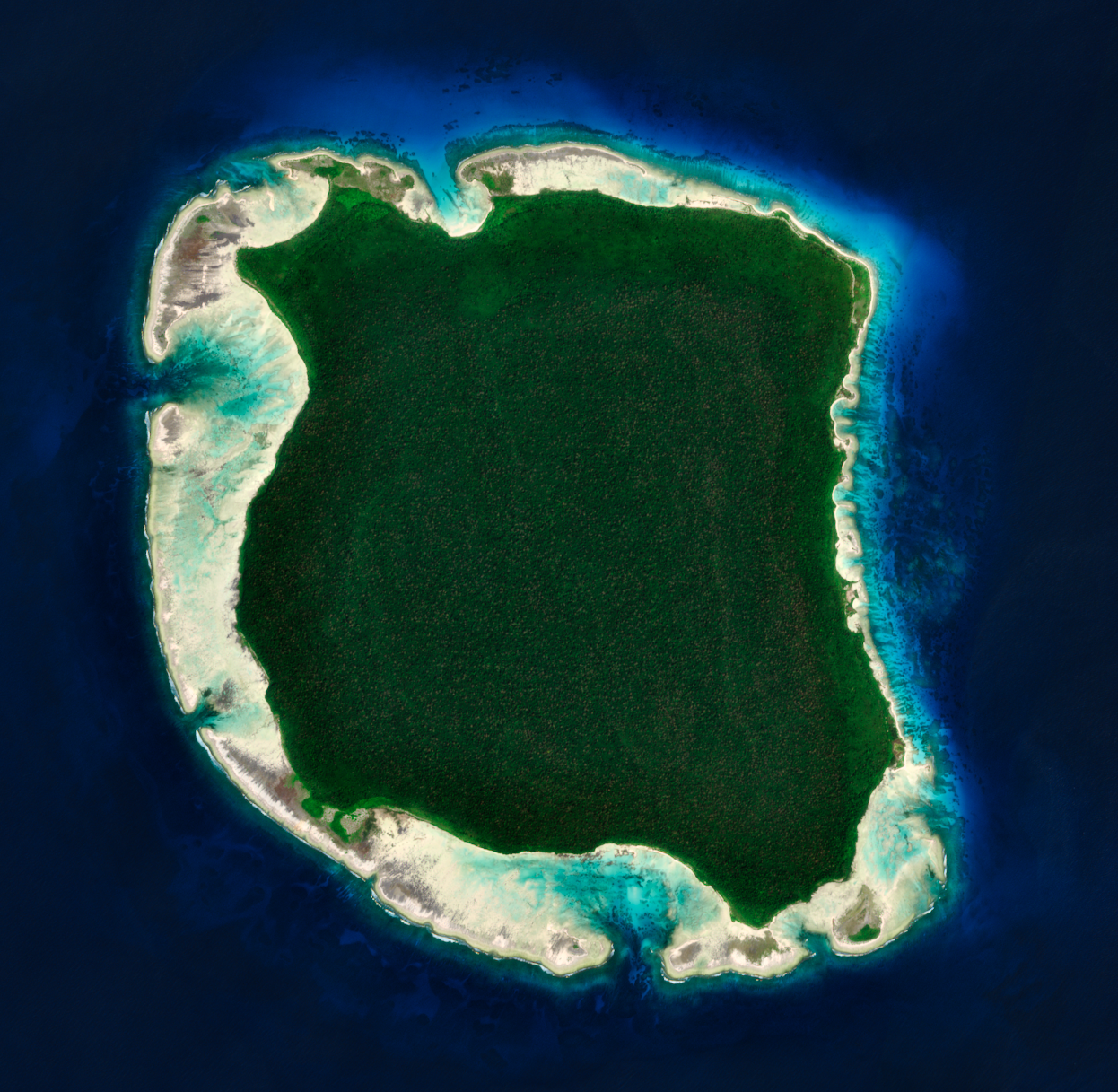 北センチネル島のセンチネル族はなぜ文明を拒絶するのか。世界で最も孤立した島が守る“人類最後の境界線”の画像2