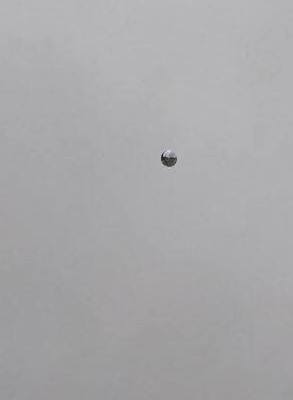 メキシコ上空に「銀色の球体UFO」が出現! 目撃した親子を襲った“謎の頭痛”とネットで勃発したAIフェイク論争の画像2