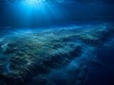 太平洋に沈む「幻の大陸」ジーランディア… 95%が海底に眠る巨大陸塊の誕生と崩壊の真実