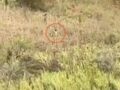伝説の小人「ドゥエンデ」を動画で捉えた!?