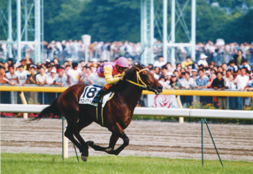 大勝負の時が来た!ダービージョッキーが教える日本ダービーで買うべき“至高の3頭”を公開!の画像2
