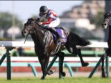 大勝負の時が来た！ダービージョッキーが教える日本ダービーで買うべき“至高の3頭”を公開！