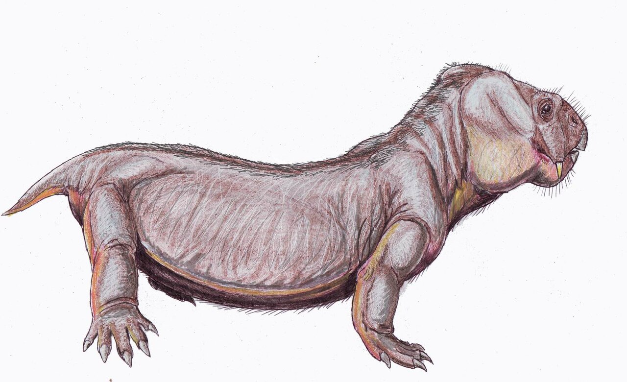 200年前の壁画に「2億年前の絶滅動物」が描かれていた!? 南アフリカ・サン人の壁画とディキノドン化石のミステリーの画像3