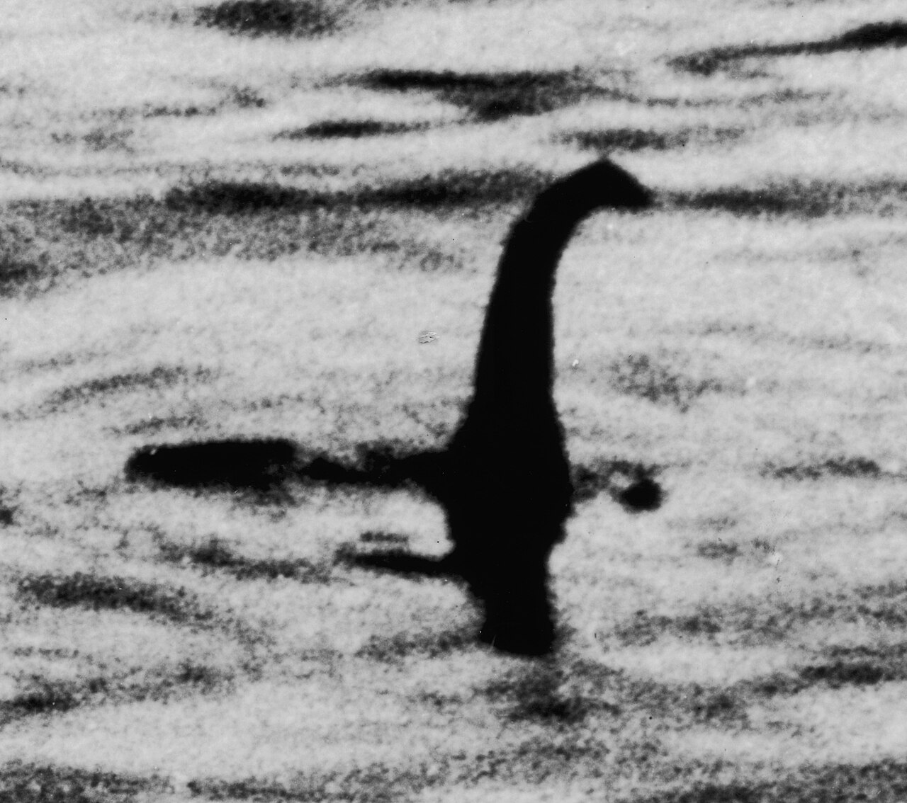 ネス湖に35年住む「プロのネッシーハンター」の生活とは？ 仕事を辞め、妻と別居してまでネッシーを探し続ける理由の画像3