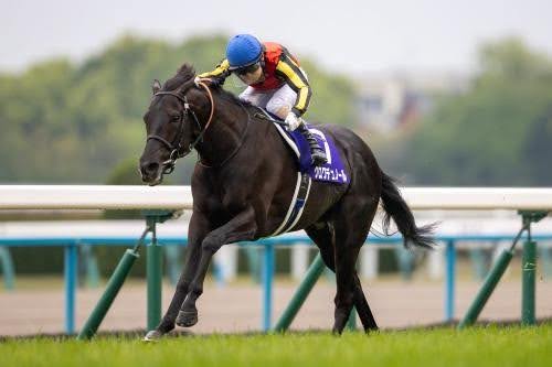 【JRA宝塚記念】レジェンド武豊騎手がまたも記録更新か？それとも波乱の結末か？の画像3