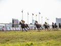 “時空を超えた競馬予想”の鳥肌が立つシンクロニシティ