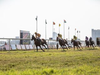 1964年の手紙「クリスマスの名の馬に賭けろ」→奇跡の優勝！ イギリスで起きた“時空を超えた競馬予想”の鳥肌が立つシンクロニシティ