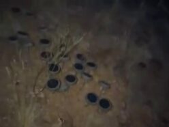 聖地シャスタ山の森に響く「人間の悲鳴」… 地面から生えた100個以上のスピーカーが垂れ流す”終末の音”の正体とは