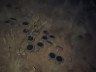 聖地シャスタ山の森に響く「人間の悲鳴」… 地面から生えた100個以上のスピーカーが垂れ流す”終末の音”の正体とは