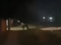 「シェイプシフター」を動画撮影!?