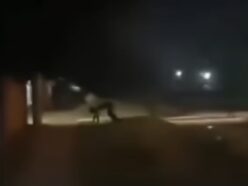 「シェイプシフター」を動画撮影!? 四つん這いから二本足で歩く謎の影がSNSで大拡散＝アルゼンチン