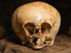 “宇宙人とのハイブリッド”と噂される「スターチャイルド・スカル」の謎とDNA鑑定の衝撃結果