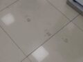 毎朝モップで消しても必ず現れる足跡