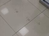 毎朝モップで消しても必ず現れる足跡…… 防犯カメラにも映らない「ハイハイする子どもの霊」に怯える家電量販店の従業員