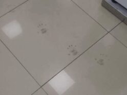 毎朝モップで消しても必ず現れる足跡…… 防犯カメラにも映らない「ハイハイする子どもの霊」に怯える家電量販店の従業員