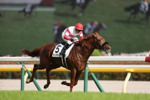 サマージャンボより宝塚記念の馬券が圧倒的にオススメの理由とは!?の画像2
