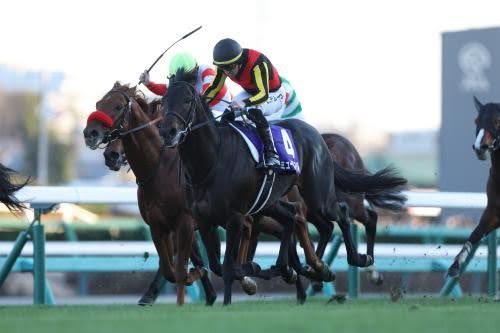 サマージャンボより宝塚記念の馬券が圧倒的にオススメの理由とは!?の画像3