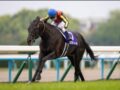サマージャンボより宝塚記念の馬券が圧倒的にオススメの理由とは!?