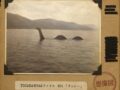 【TOCANA的UMAファイル #01】「クッシー」