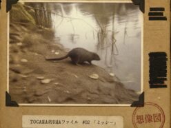 【TOCANA的UMAファイル #02】「ミッシー」── 正体はほぼ判明しているのに、証言だけが化け続ける東京のUMA