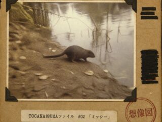 【TOCANA的UMAファイル #02】「ミッシー」── 正体はほぼ判明しているのに、証言だけが化け続ける東京のUMA