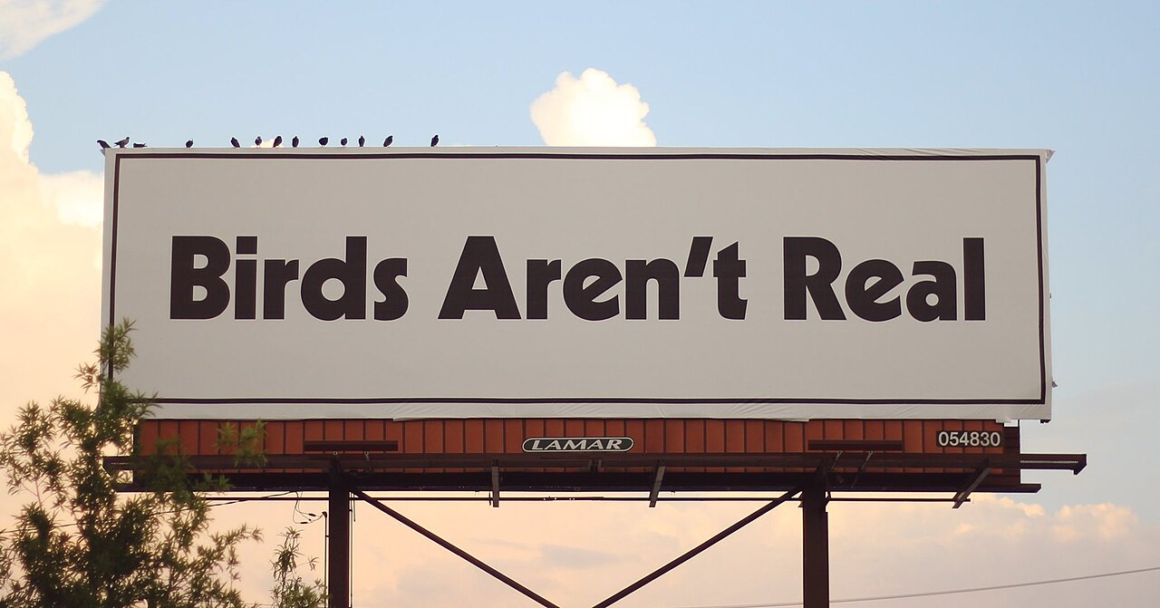 「鳥は実在しない(Birds Aren't Real)」とは何だったのか? アメリカの若者を熱狂させた“政府ドローン陰謀論”の画像1