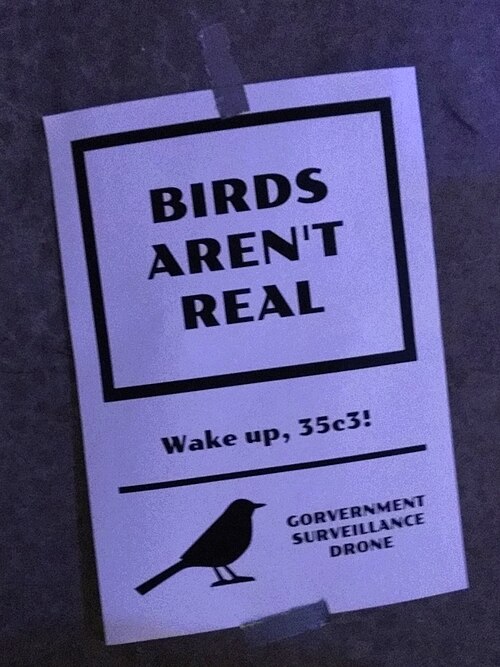 「鳥は実在しない(Birds Aren't Real)」とは何だったのか? アメリカの若者を熱狂させた“政府ドローン陰謀論”の画像2