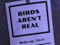 陰謀論「鳥は実在しない（Birds Aren't Real）」とは何だったのか？