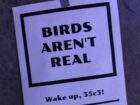 「鳥は実在しない（Birds Aren’t Real）」とは何だったのか？ アメリカの若者を熱狂させた“政府ドローン陰謀論”