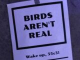 「鳥は実在しない（Birds Aren't Real）」とは何だったのか？ アメリカの若者を熱狂させた“政府ドローン陰謀論”