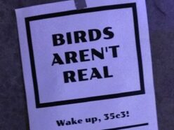 「鳥は実在しない（Birds Aren't Real）」とは何だったのか？ アメリカの若者を熱狂させた“政府ドローン陰謀論”
