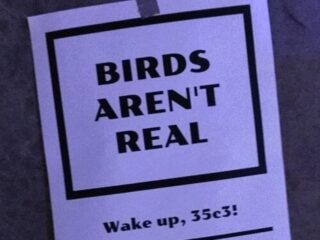 「鳥は実在しない（Birds Aren’t Real）」とは何だったのか？ アメリカの若者を熱狂させた“政府ドローン陰謀論”