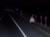 【心霊動画】深夜の国道に出没する“上半身だけの女”！ トラック運転手が撮影したチリ最恐のゴーストミステリー