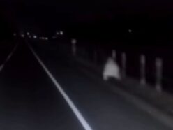 【心霊動画】深夜の国道に出没する“上半身だけの女”！ トラック運転手が撮影したチリ最恐のゴーストミステリー