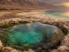 絶望の地に生命が!? 死海のほとりに現れた“生ける水（淡水池）”が告げる「終わりの日」と聖地を襲う連合軍侵攻の恐怖