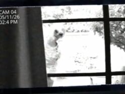 俳優ジェームズ・フランコ、自宅ガレージに"光る目のエイリアン"が住み着いていると主張！ ネット民の総ツッコミが炸裂