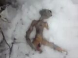 雪原のエイリアン遺体の正体は「パン生地」だった!? UFO界隈を15年間も欺き続けるロシアの学生が作った“悪ふざけ”